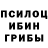 Псилоцибиновые грибы Psilocybe Aman Alban