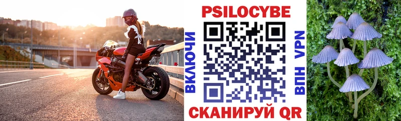 Псилоцибиновые грибы прущие грибы  Учалы 