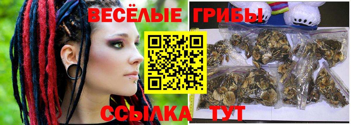 Учалы  Галлюциногенные грибы Psilocybe  Галлюциногенные грибы GOLDEN TEACHER  Вход с VPN 