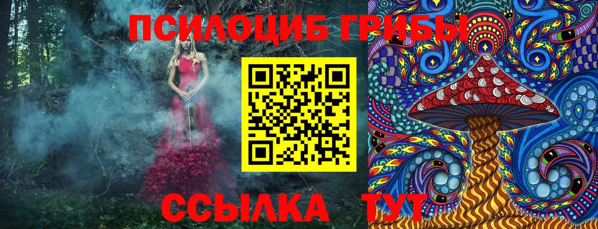 Псилоцибиновые грибы прущие грибы Учалы